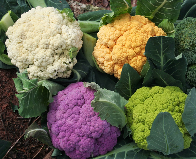 cauliflower