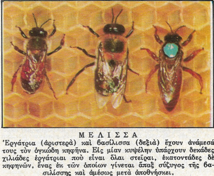 Σάρωση_20200226 (2)